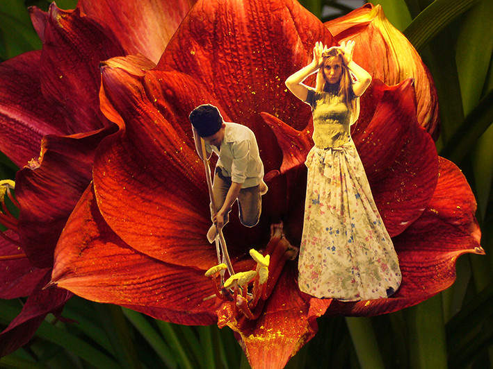 Hörspiel-Lesung: Der Natur lauschen Augen zu, Ohren auf!