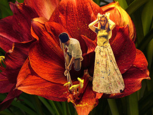 Hörspiel-Lesung: Der Natur lauschen Augen zu, Ohren auf!