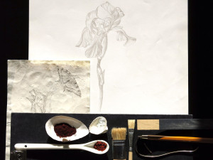 Kunstworkshop: Mit Silber zeichnen - Die Kunst in der Natur 