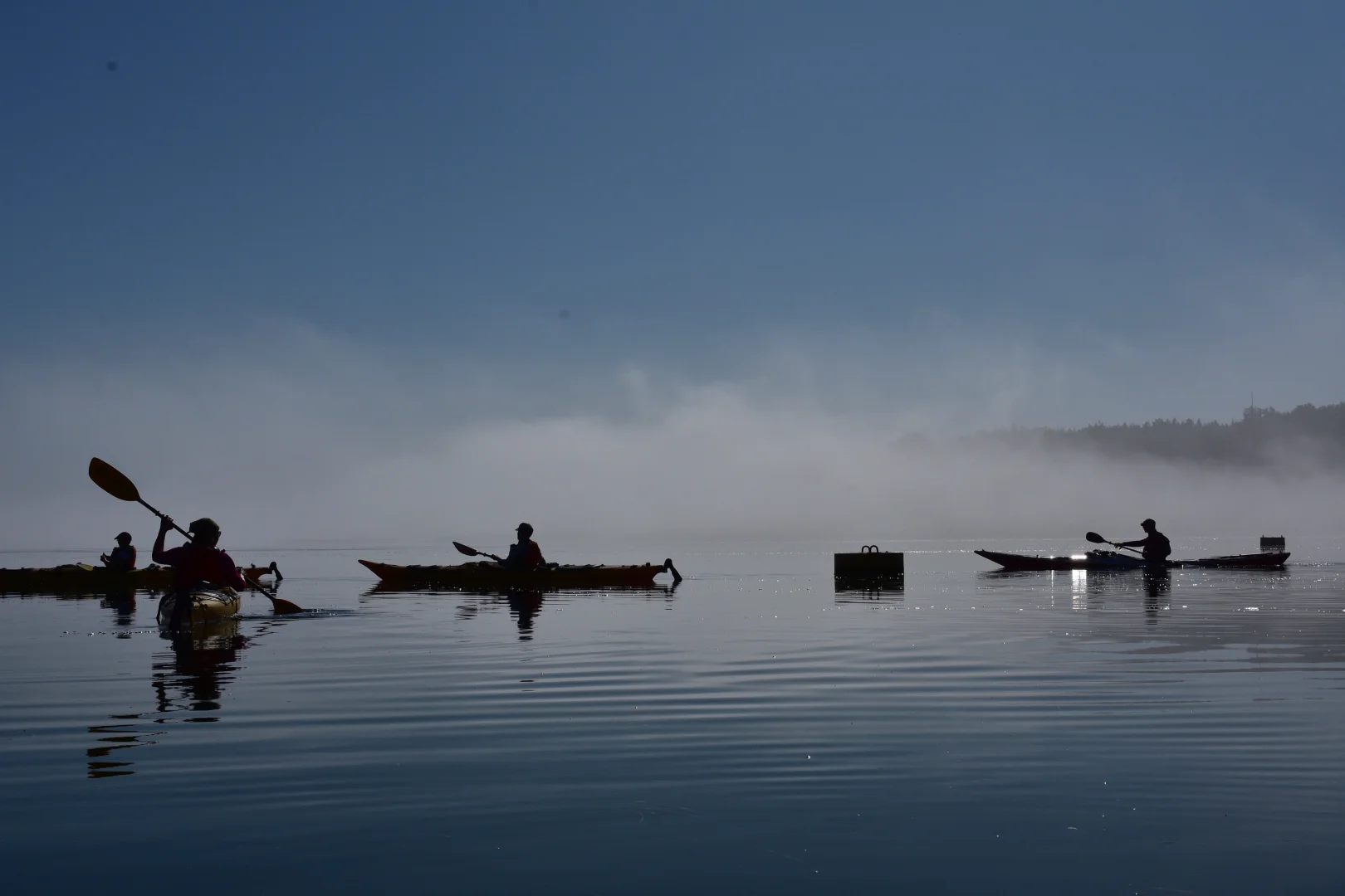 Geführte Kajaktour: Abendtour auf dem Bodstedter Bodden