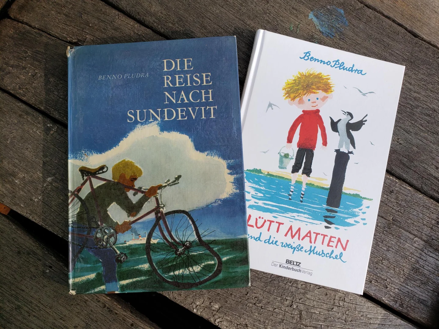 Bücher-Pavillon – Leseoase am Darß-Museum