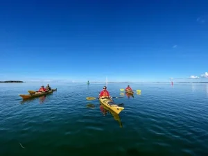 Ostseeinseln hautnah – geführte Kajaktour