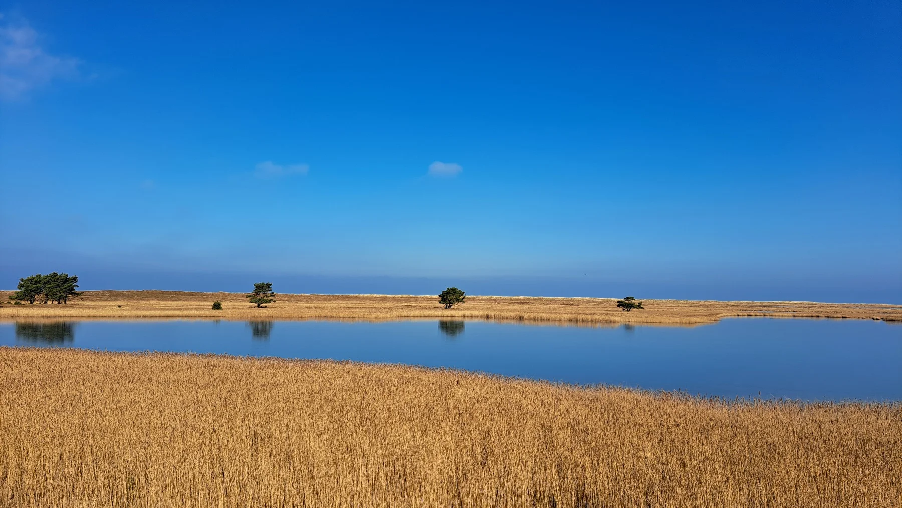 Führung: Dünensand und Meeresglitzern