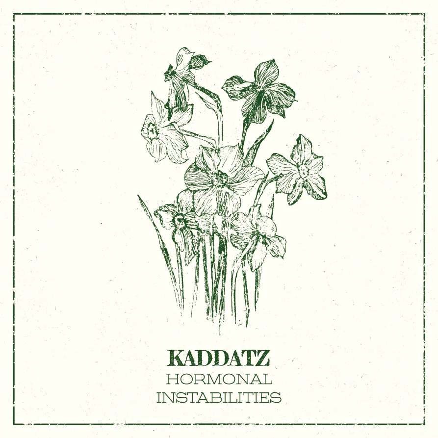 Live-Musik: Kaddatz